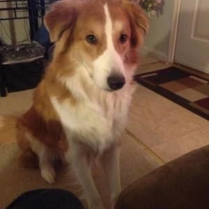 Meet your Posher, Diane